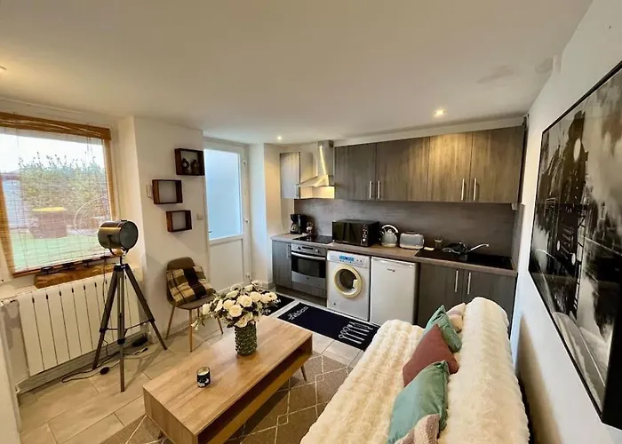 Appartement Riorges 35 M2 1 Chambre